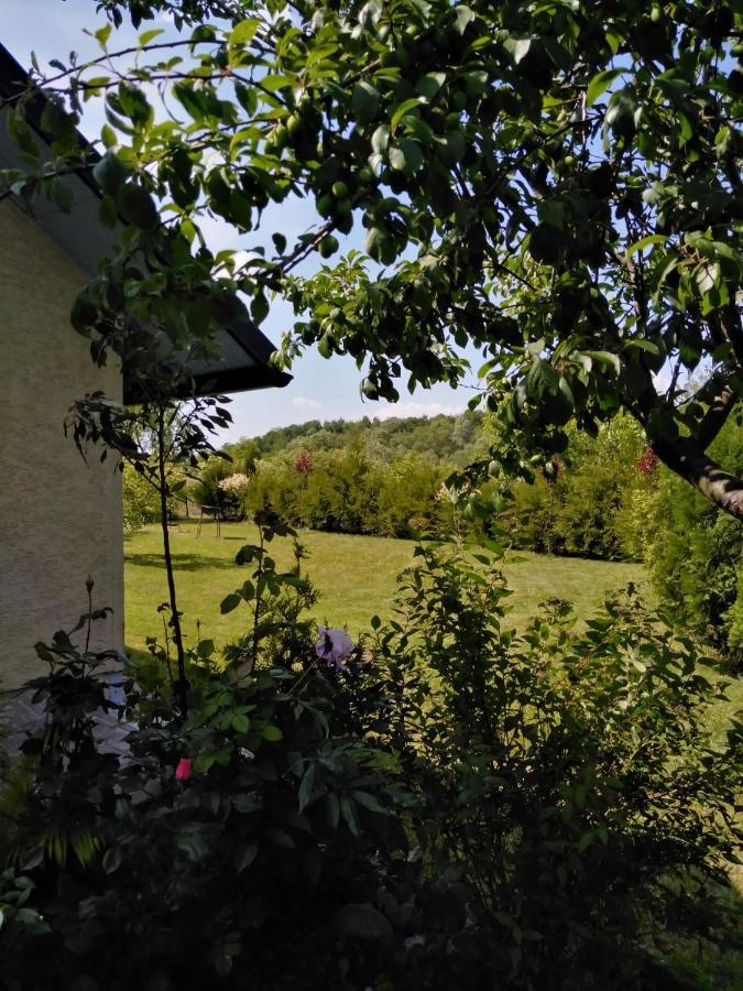 Casa Mamei Suceava Exterior foto