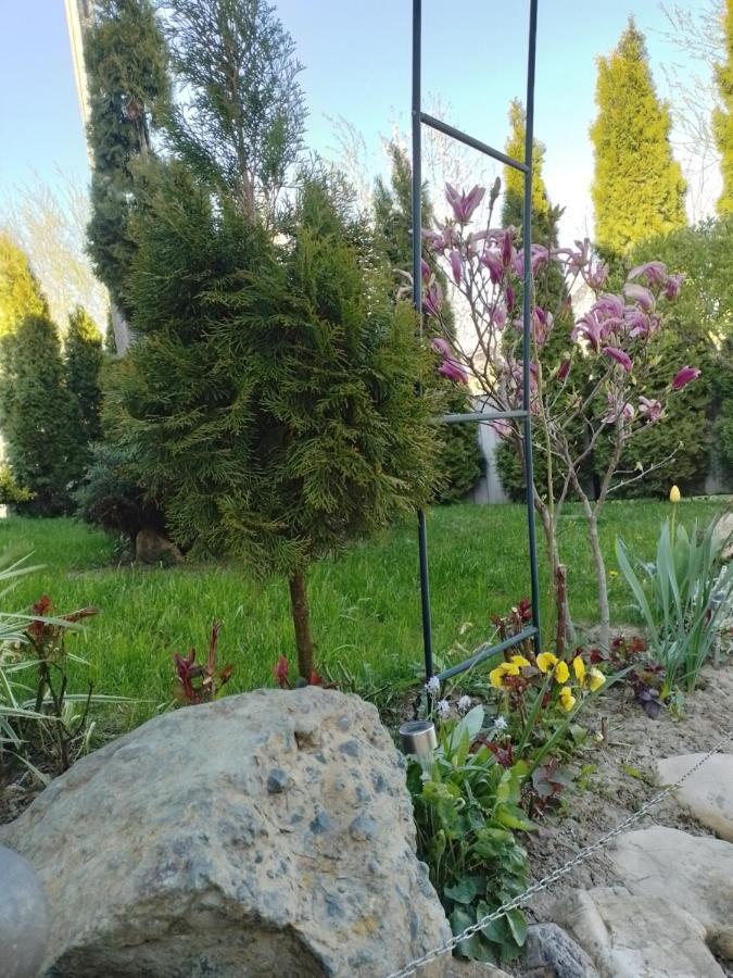 Casa Mamei Suceava Exterior foto
