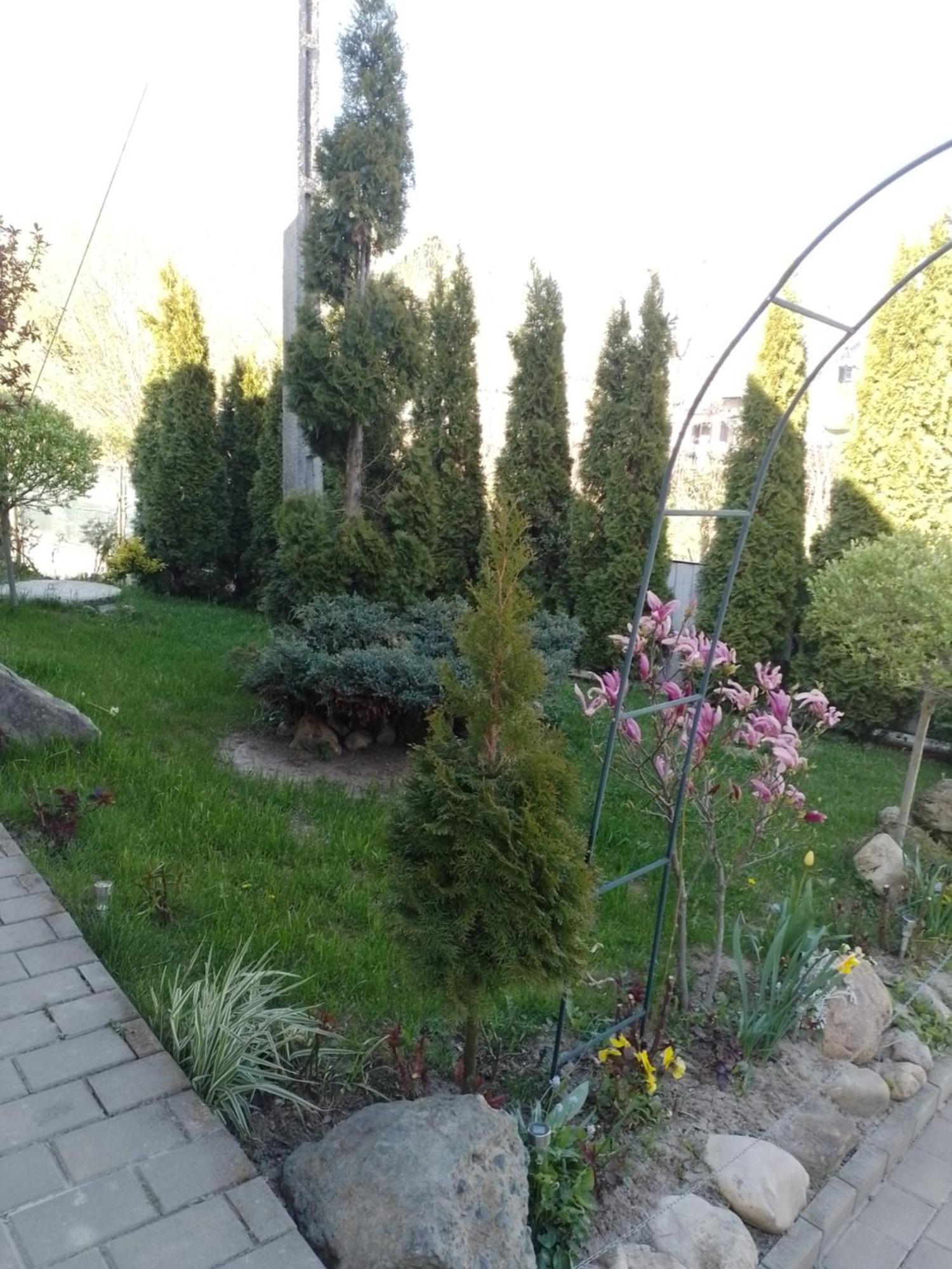 Casa Mamei Suceava Quarto foto