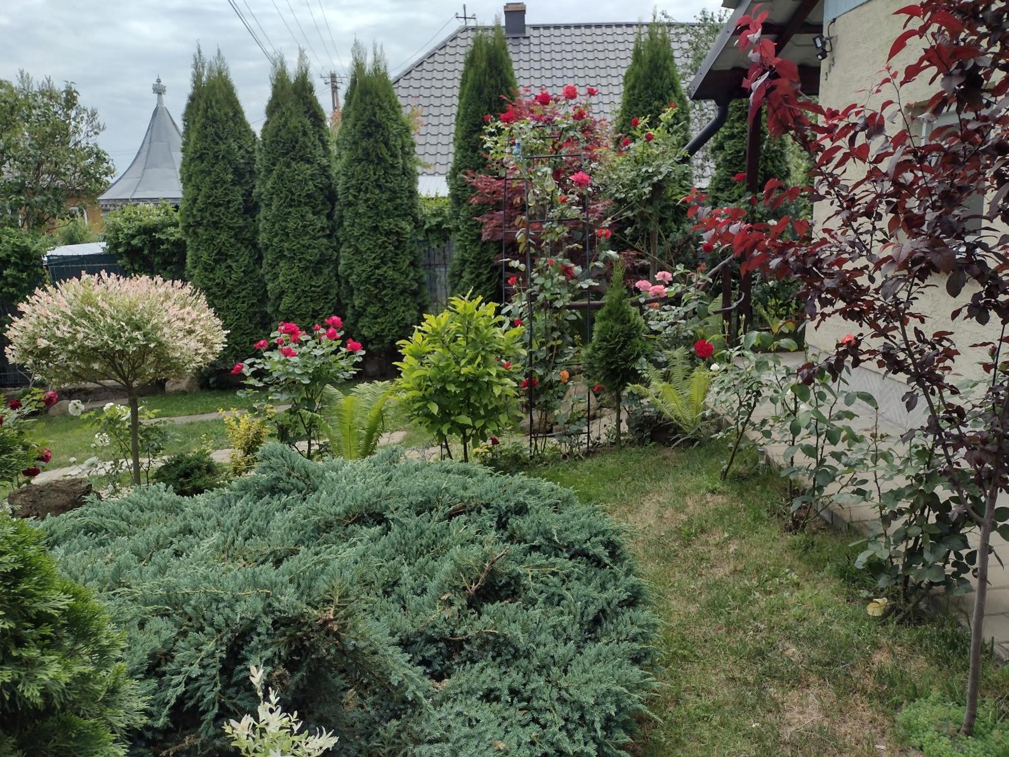 Casa Mamei Suceava Quarto foto