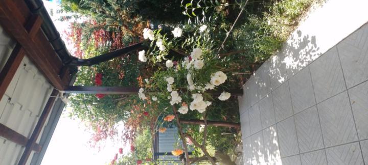Casa Mamei Suceava Exterior foto